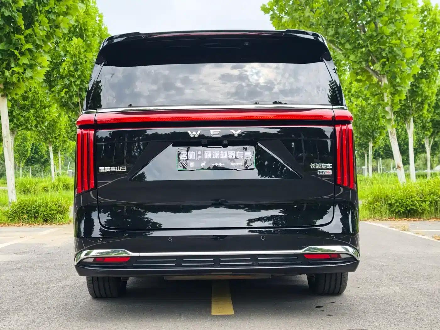 Weipai Gaoshan 2025 Model 4WD Gaoshan 9 — миниатюра 9