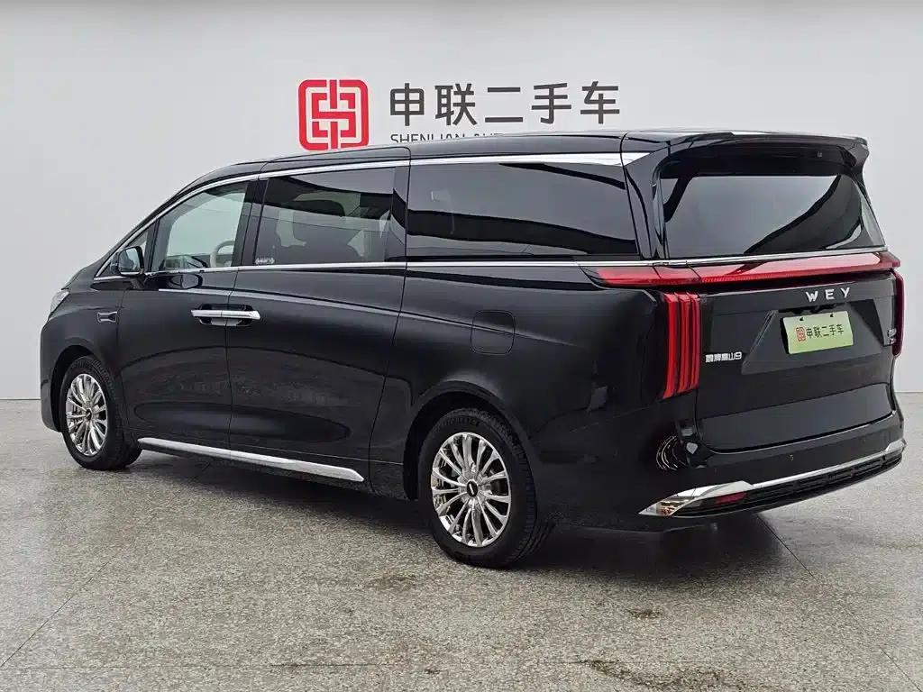 Weipai Gaoshan 2025 Model 4WD Gaoshan 9 — миниатюра 3