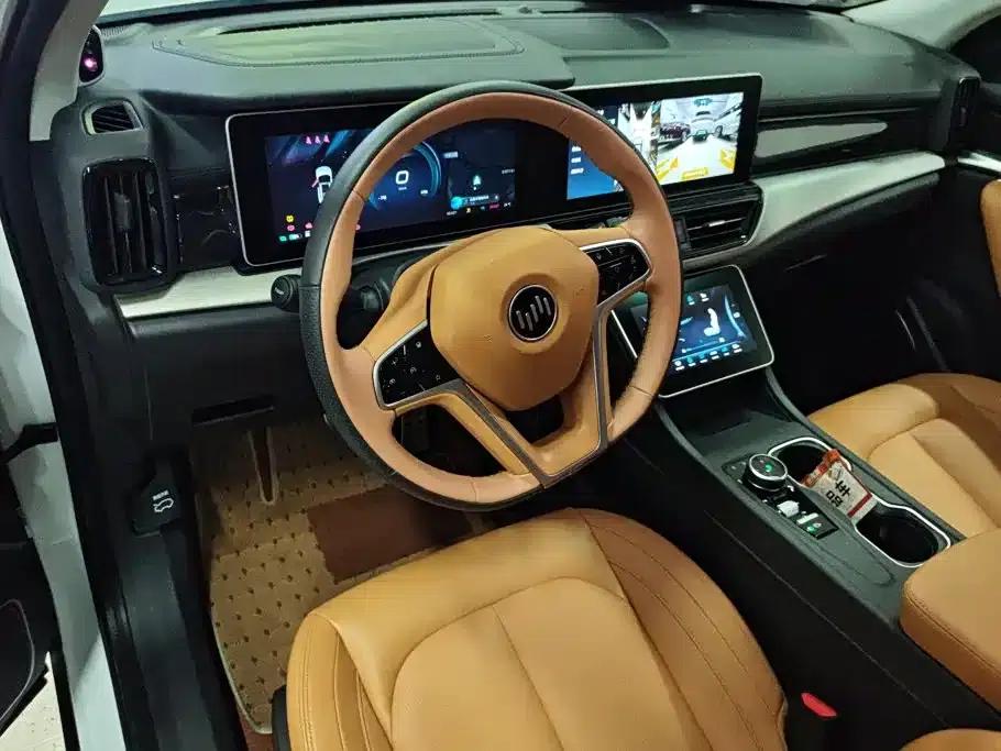 Weltmeister W6 2021 520km PRO All-Round Edition — миниатюра 12