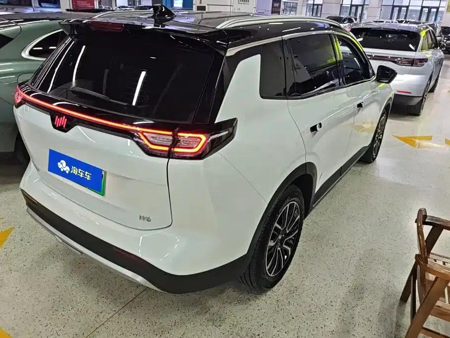 Weltmeister W6 2021 520km PRO All-Round Edition — миниатюра 3