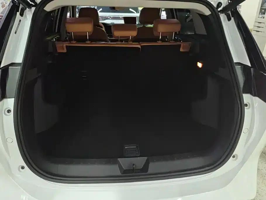 Weltmeister W6 2021 520km PRO All-Round Edition — миниатюра 4
