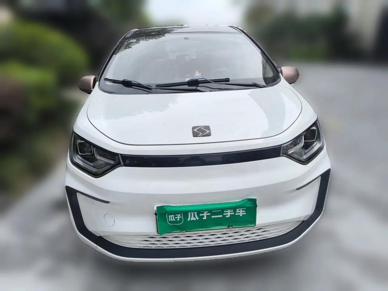 SOL E10X 2021 302 km Range Luxury Version 30.2 kWh — миниатюра 2