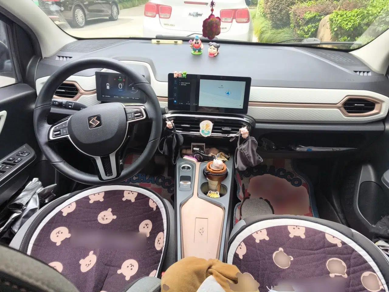 SOL E10X 2021 302 km Range Luxury Version 30.2 kWh — миниатюра 9