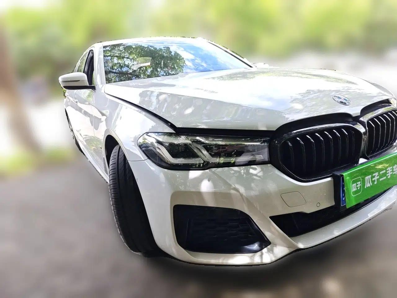 BMW 5 Series 2021 530Li Luxury Edition M Sport Package — миниатюра 3