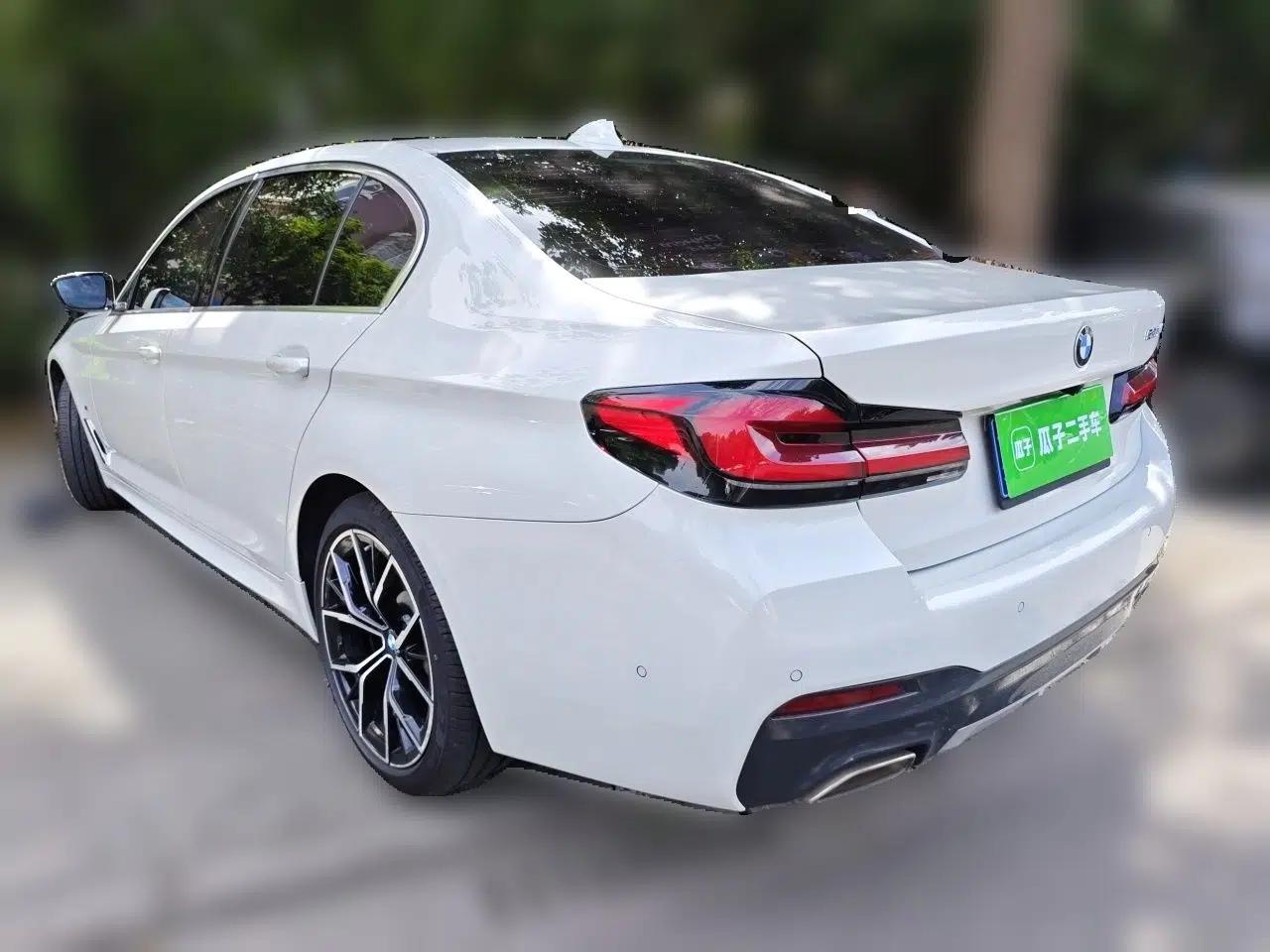 BMW 5 Series 2021 530Li Luxury Edition M Sport Package — миниатюра 4