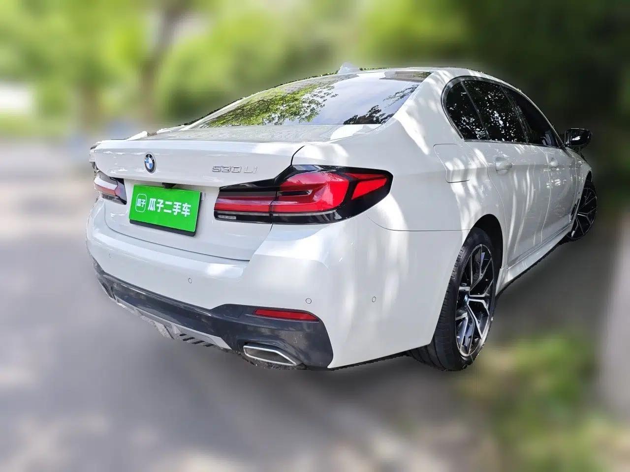 BMW 5 Series 2021 530Li Luxury Edition M Sport Package — миниатюра 6