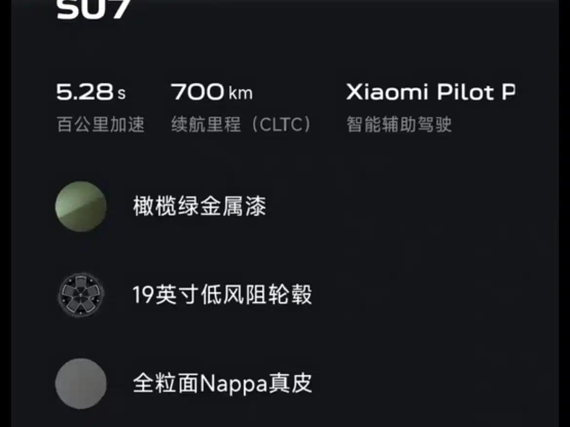 Xiaomi SU7 2024 Rear-Wheel Drive Standard Founder Edition — миниатюра 8
