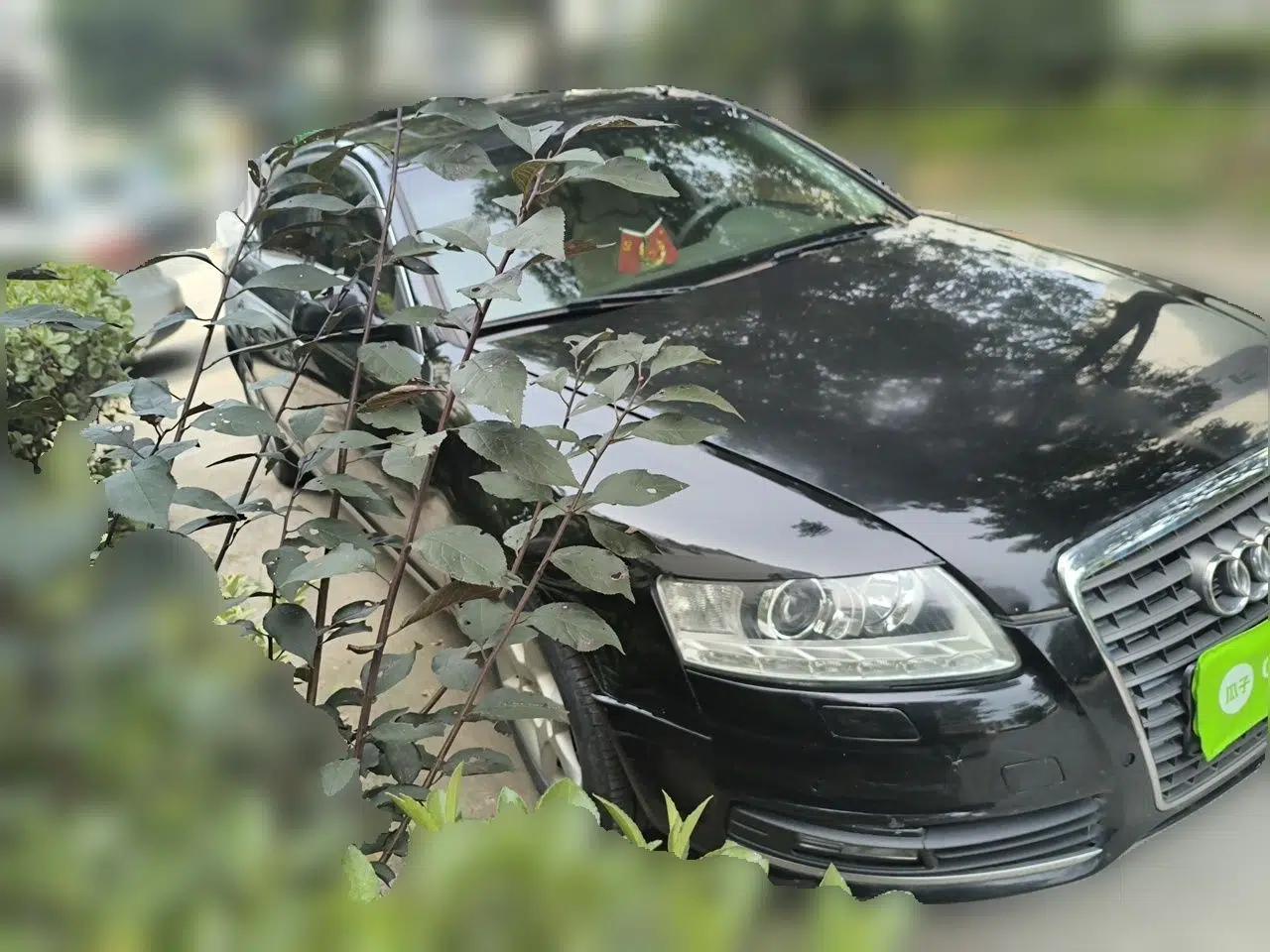 Audi A6L 2011 2.0 TFSI Automatic Standard Edition — миниатюра 3