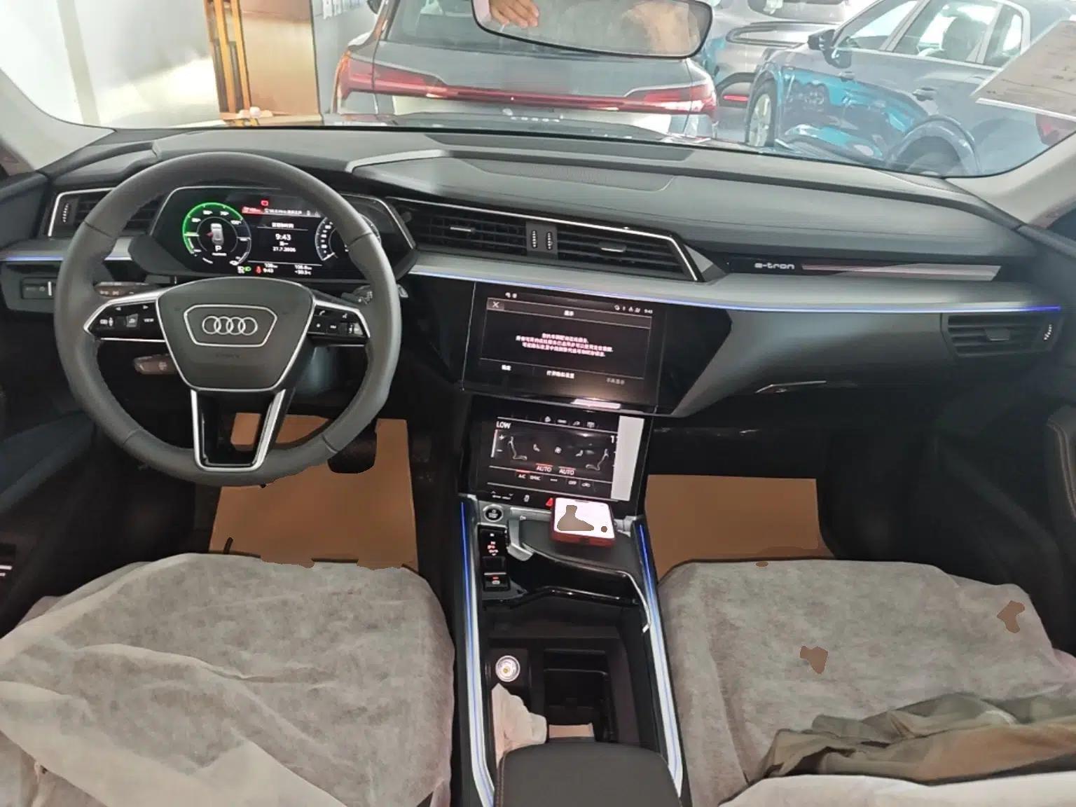 Audi e-tron 2021 50 quattro Luxury Edition — миниатюра 12