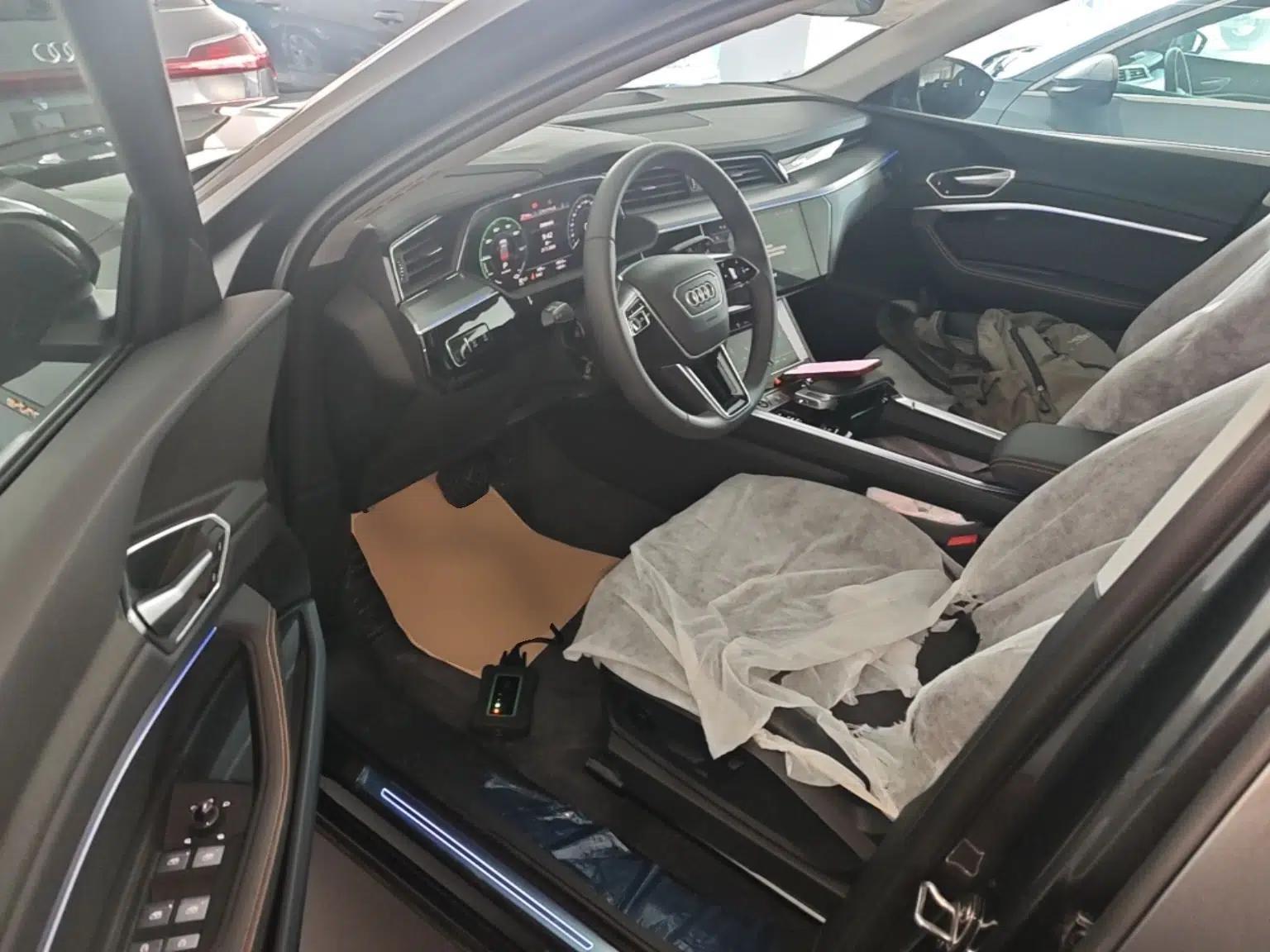 Audi e-tron 2021 50 quattro Luxury Edition — миниатюра 18