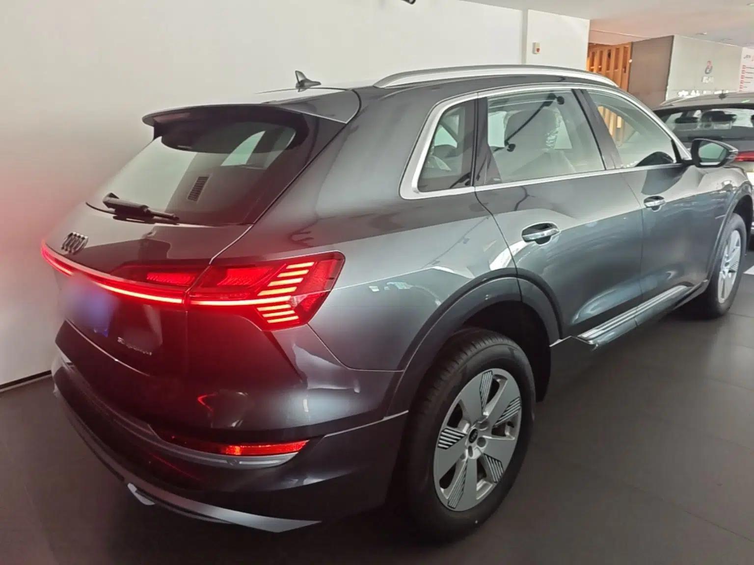 Audi e-tron 2021 50 quattro Luxury Edition — миниатюра 6