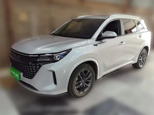 Landian E5 2024 Honor Edition 100KM Comfort Model 5 Seats