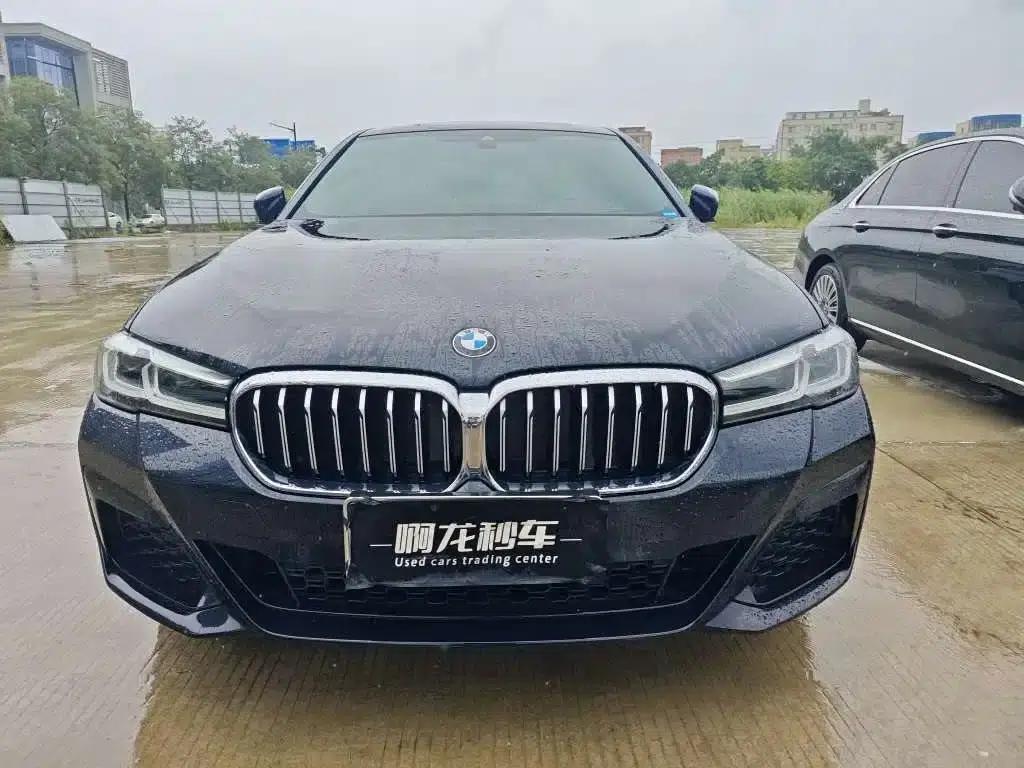 BMW 5 Series 2022 Facelift II 530Li Leading Model M Sport Package — миниатюра 6