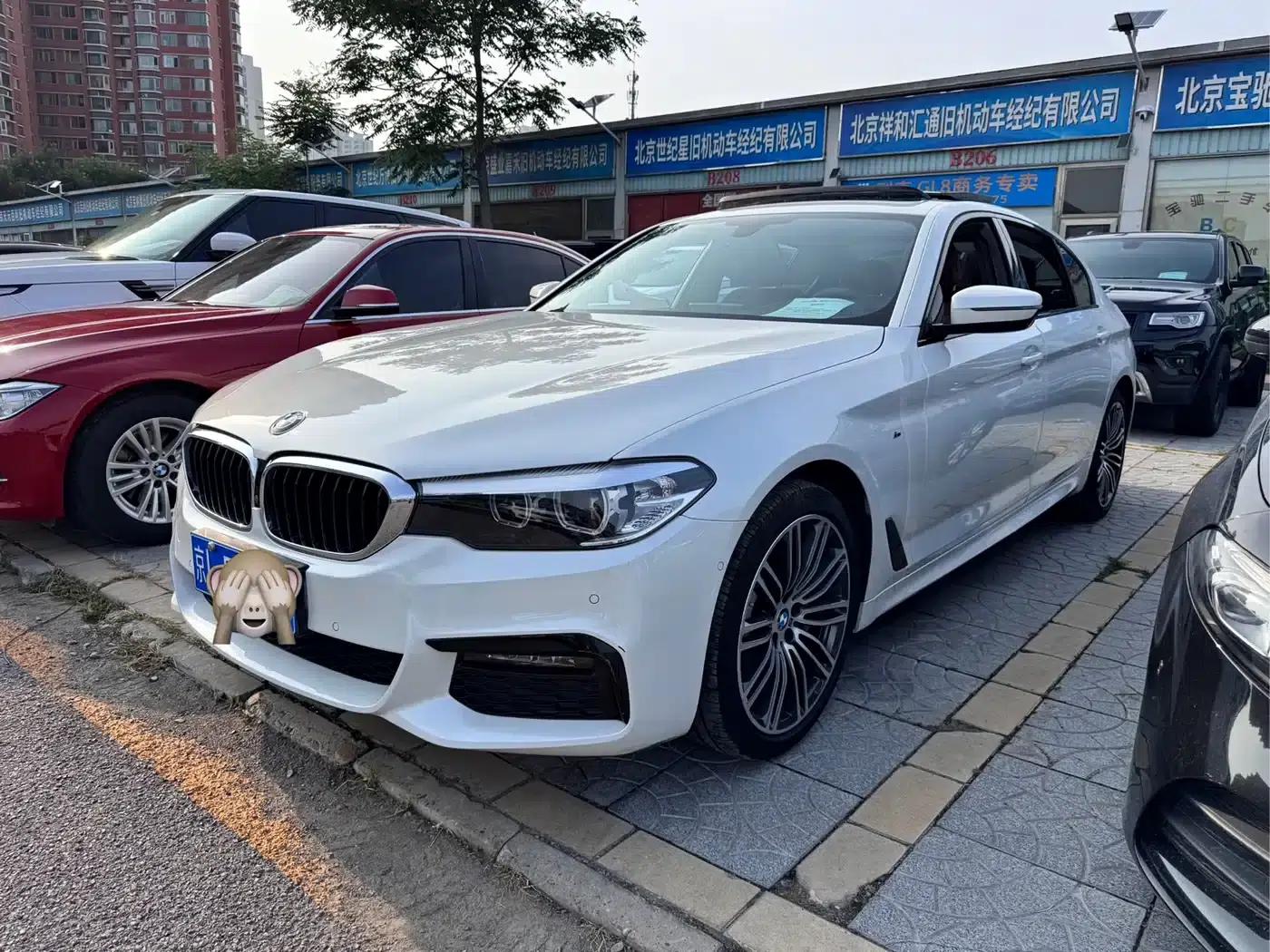 2019 BMW 5 Series 530Li Leading Edition M Sport Package — миниатюра 1