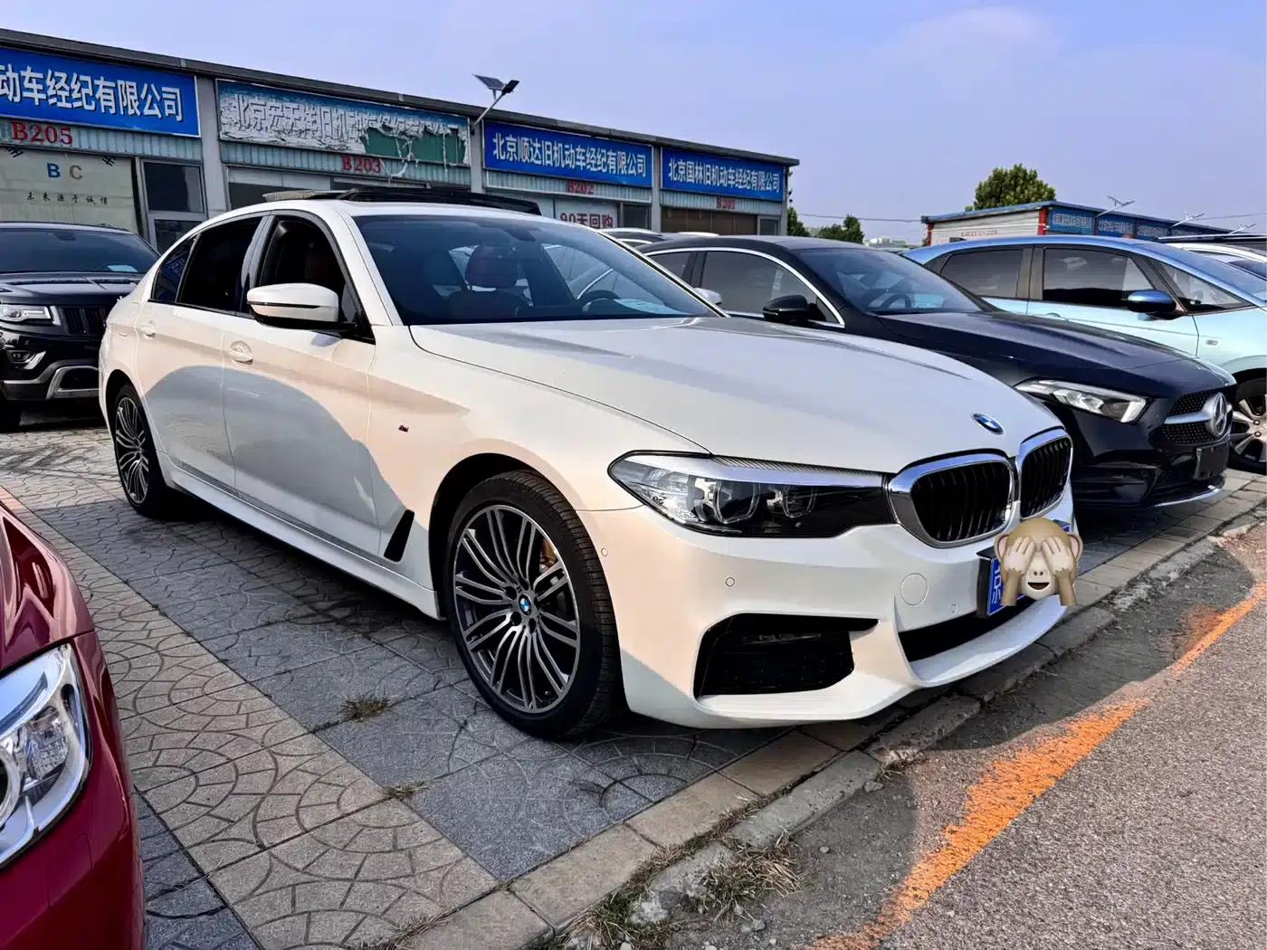2019 BMW 5 Series 530Li Leading Edition M Sport Package — миниатюра 3