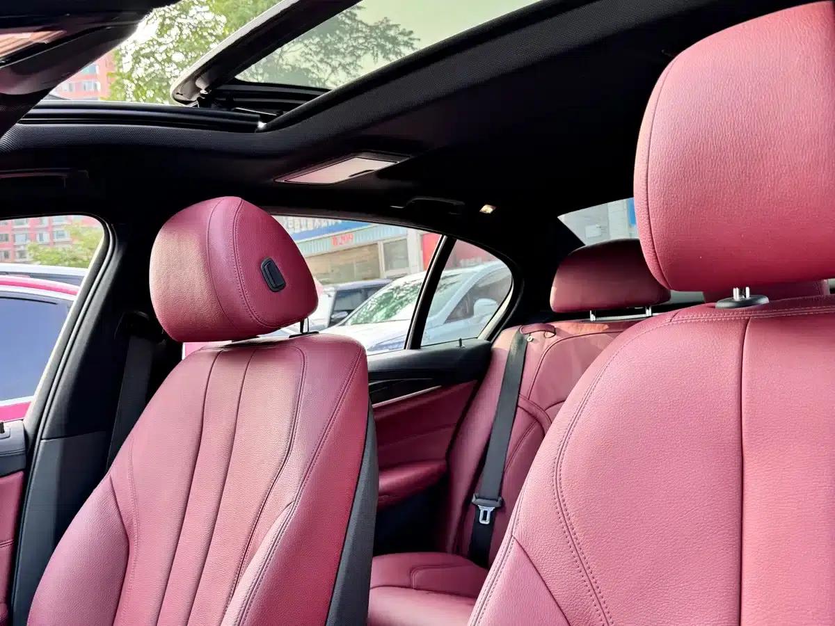 2019 BMW 5 Series 530Li Leading Edition M Sport Package — миниатюра 7