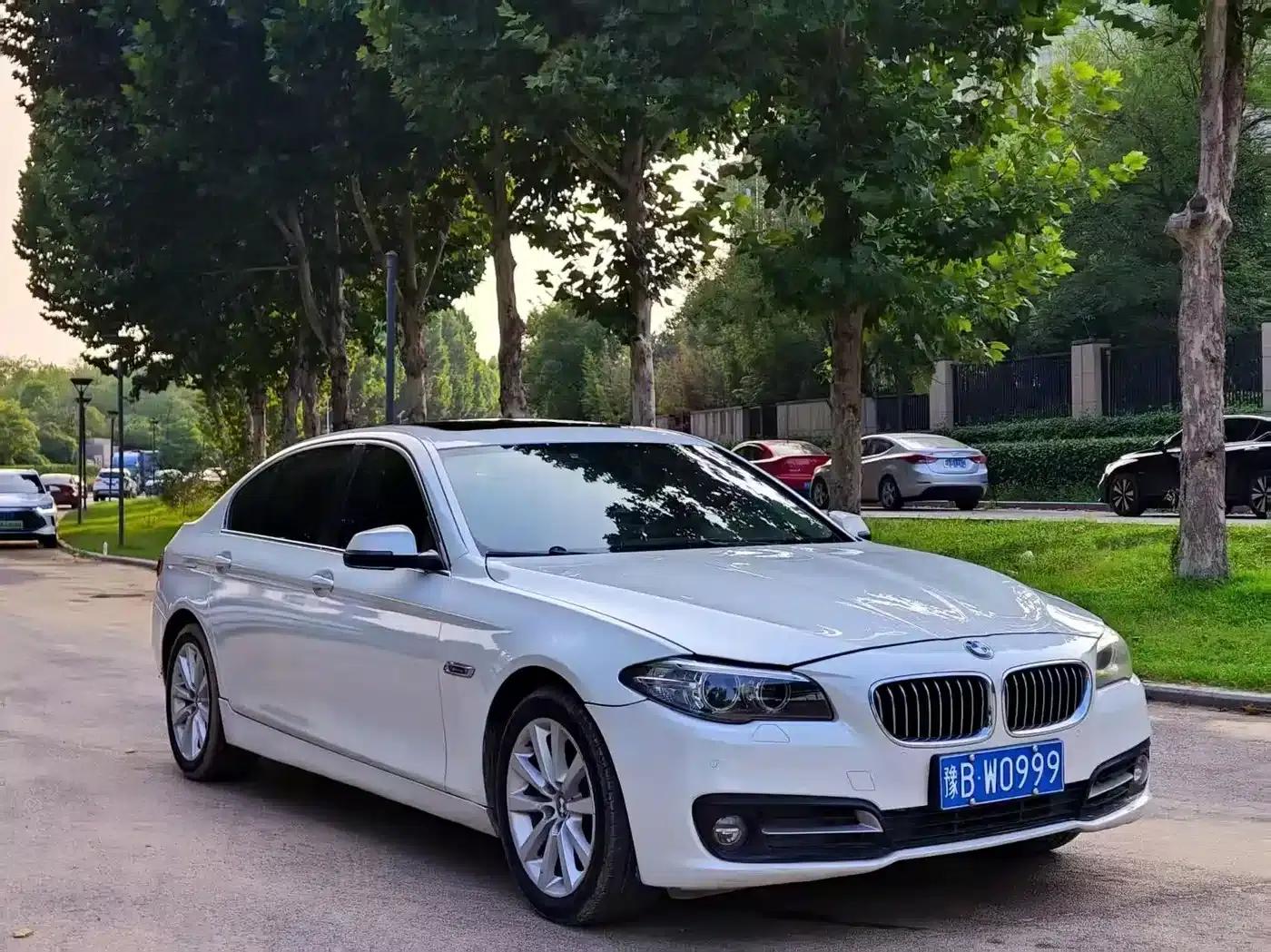 BMW 5 Series 2013 530Li Leading Edition — миниатюра 3