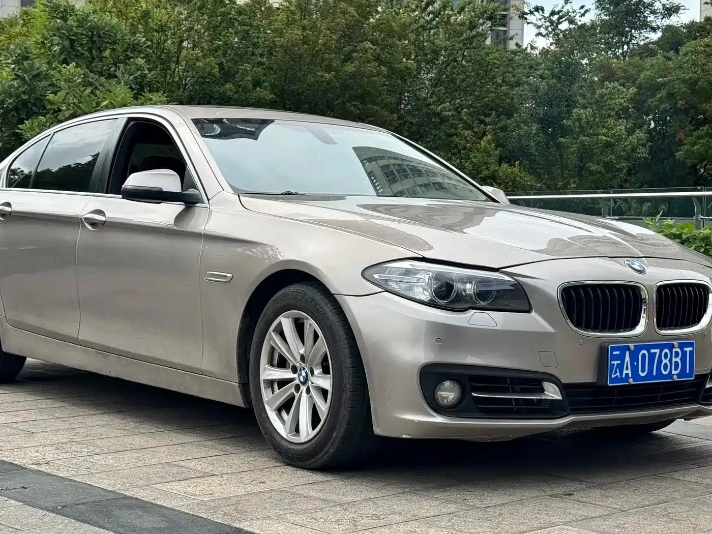 BMW 5 Series 2013 525Li Leading Edition — миниатюра 3