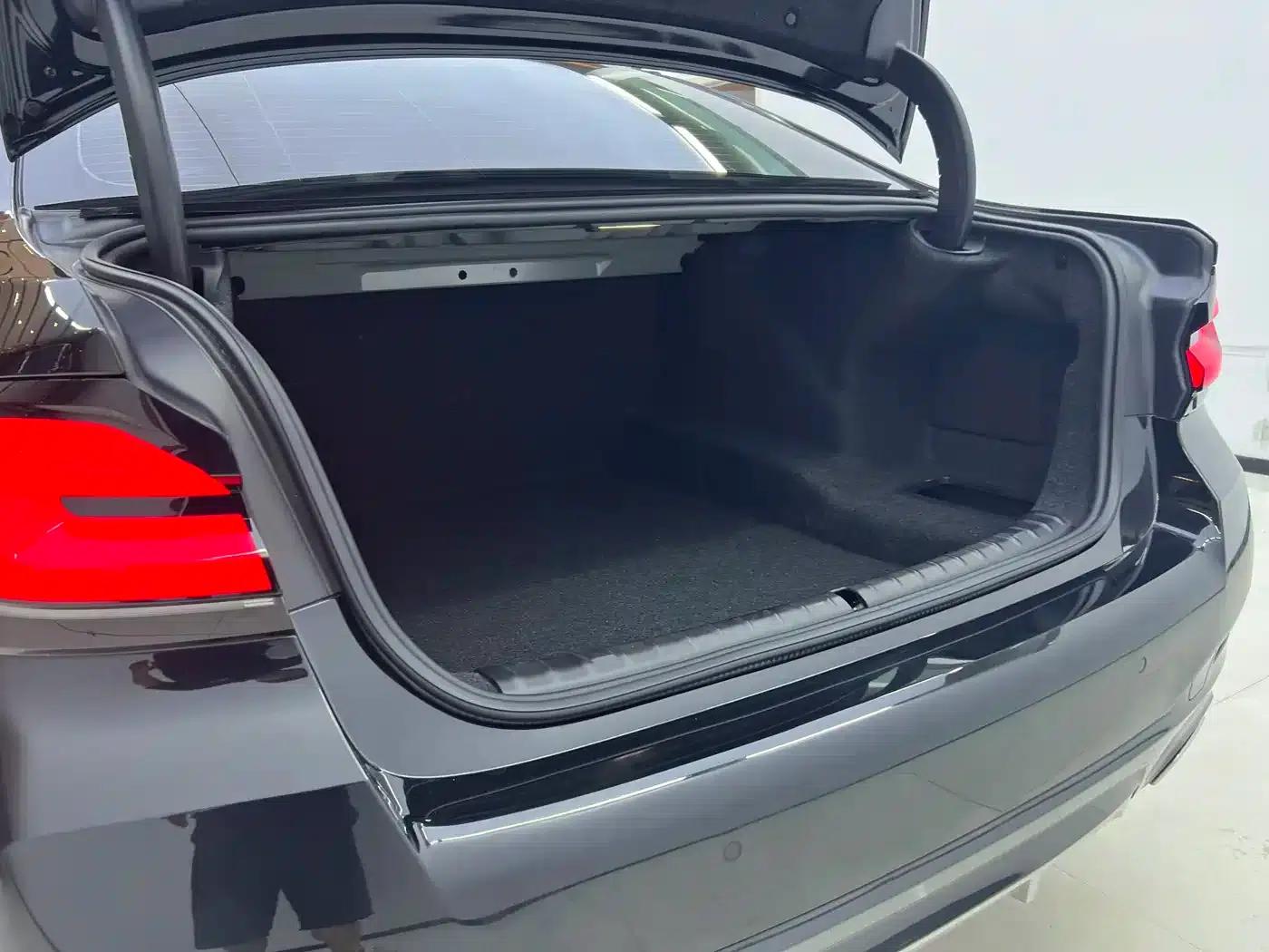 2023 BMW 5 Series 530Li Luxury M Sport Package — миниатюра 22