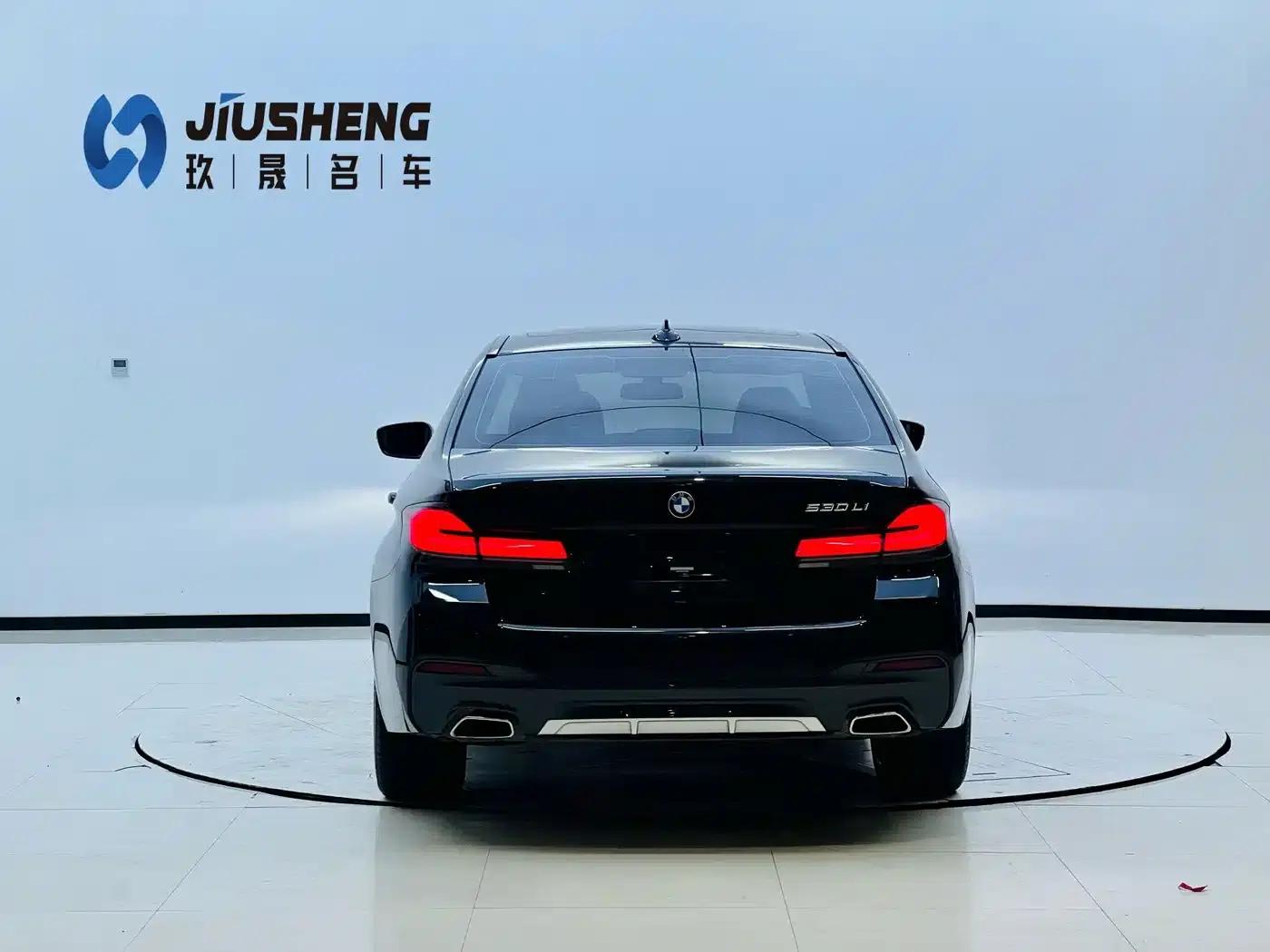 2023 BMW 5 Series 530Li Luxury M Sport Package — миниатюра 5