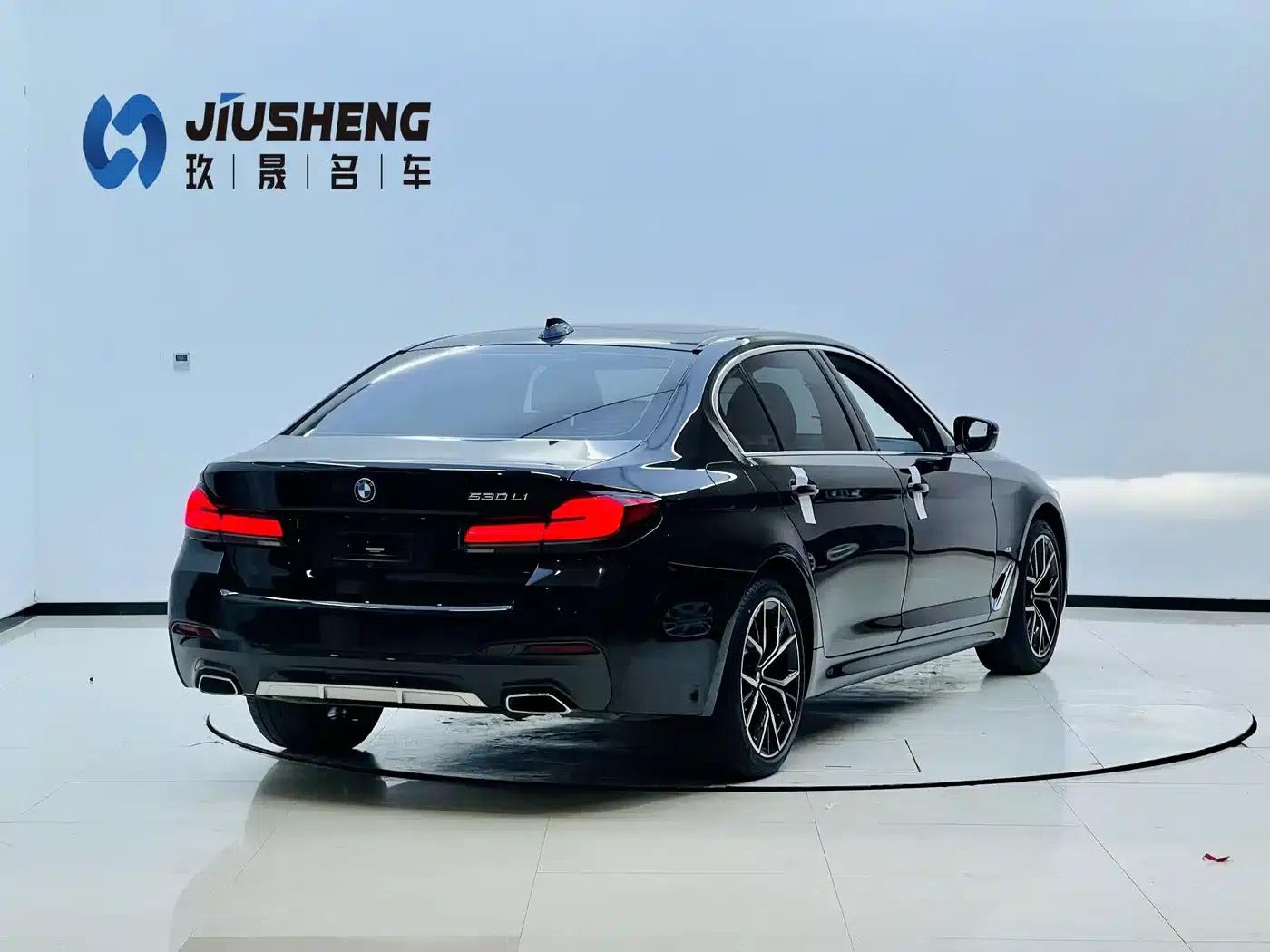 2023 BMW 5 Series 530Li Luxury M Sport Package — миниатюра 6