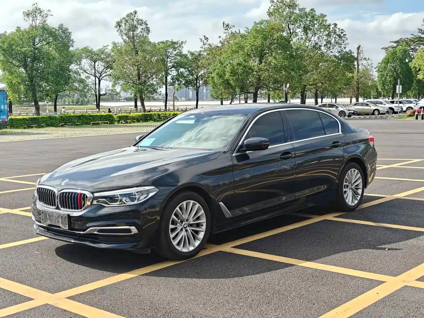 BMW 5 Series 2020 530Li Luxury Package — миниатюра 1