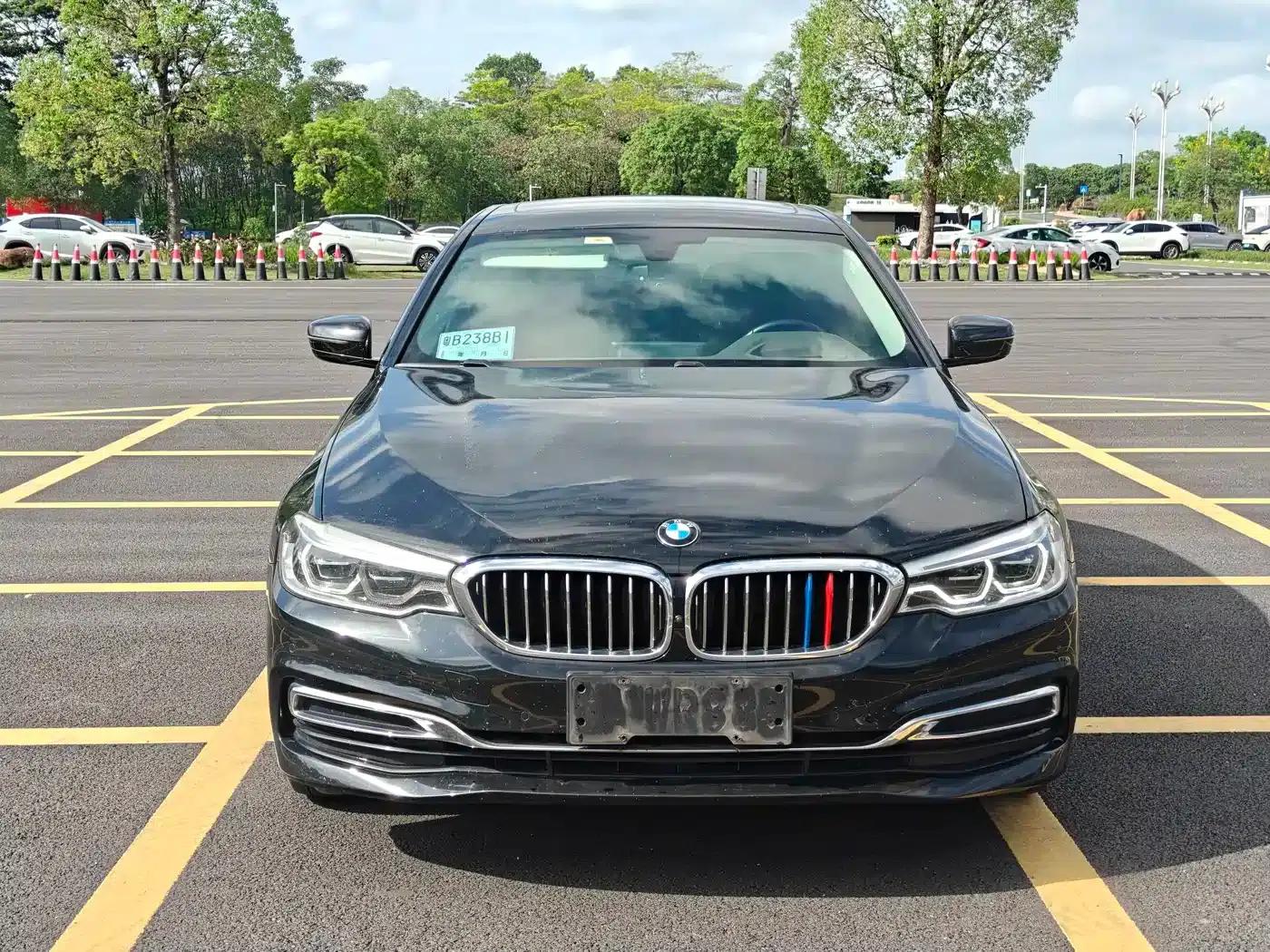 BMW 5 Series 2020 530Li Luxury Package — миниатюра 2