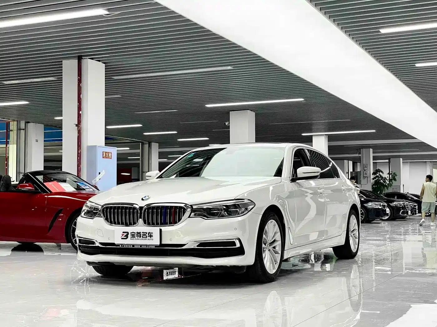 BMW 5 Series 2020 530Li Leading Luxury Package — миниатюра 1