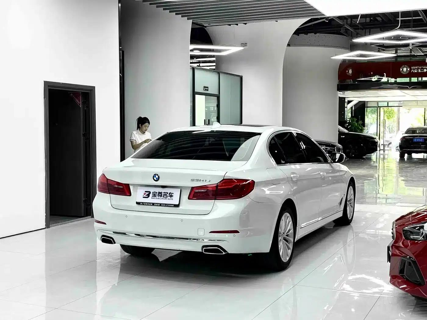 BMW 5 Series 2020 530Li Leading Luxury Package — миниатюра 11