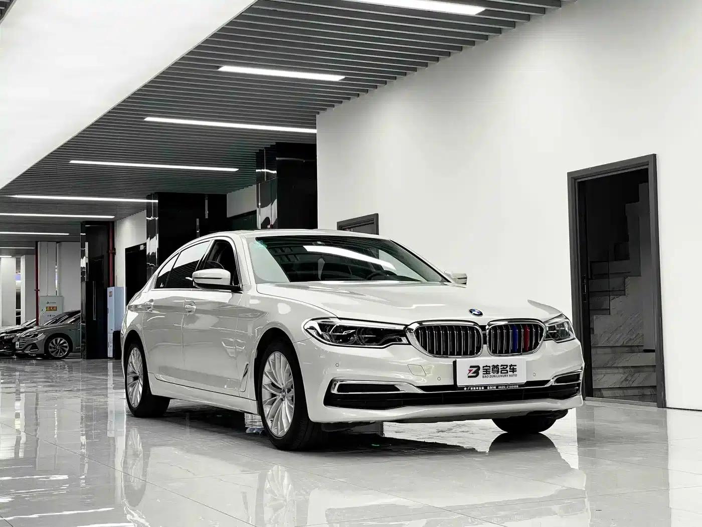 BMW 5 Series 2020 530Li Leading Luxury Package — миниатюра 3