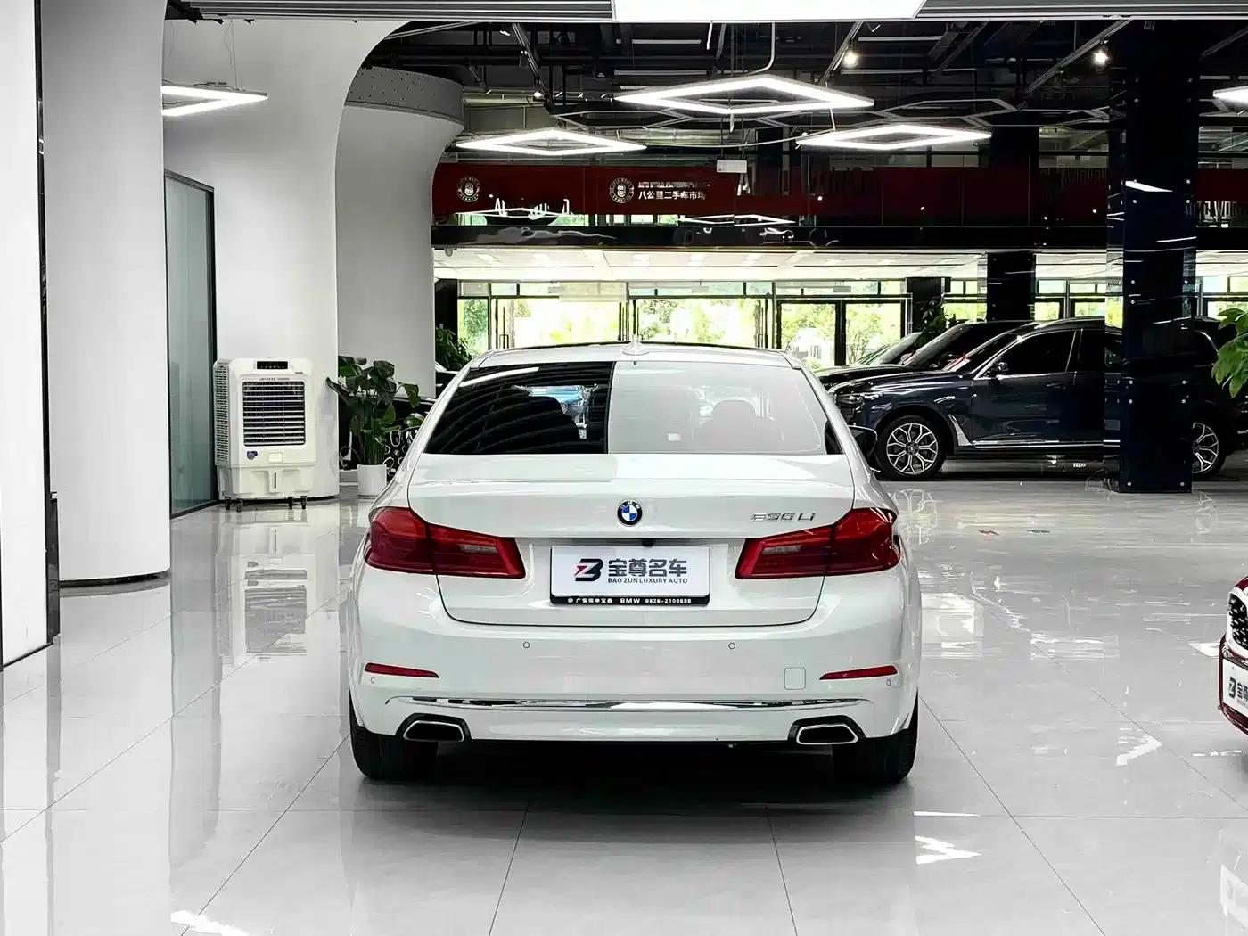 BMW 5 Series 2020 530Li Leading Luxury Package — миниатюра 9