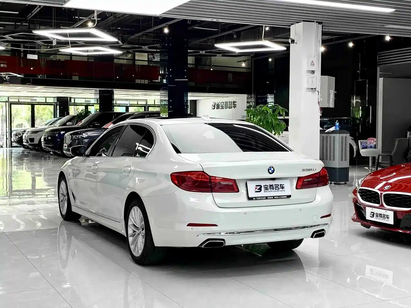 BMW 5 Series 2020 530Li Leading Luxury Package — миниатюра 10