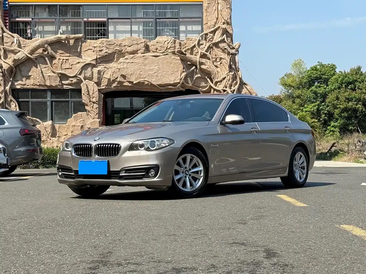 2014 BMW 5 Series 520Li Elegant Edition — миниатюра 1