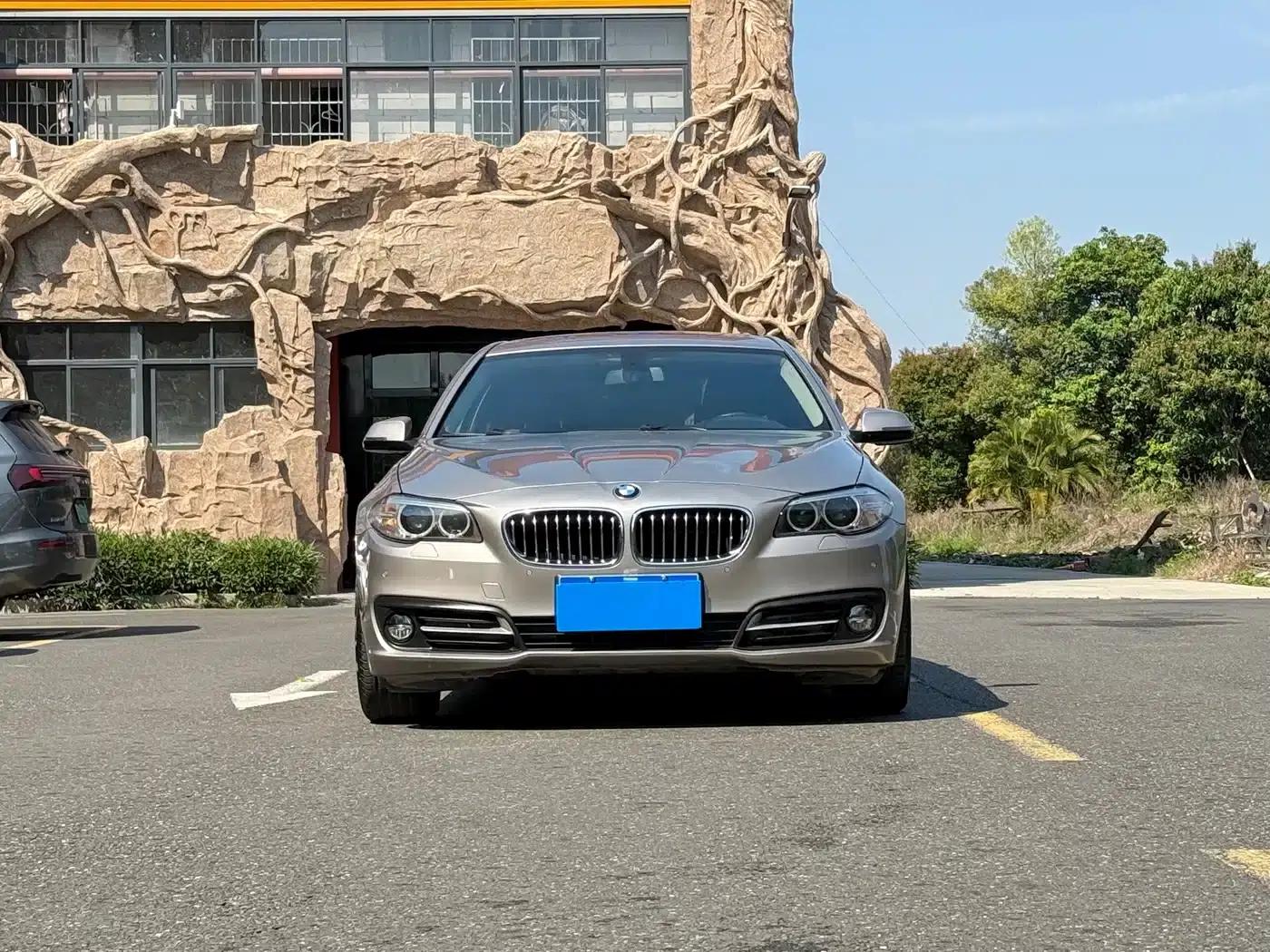 2014 BMW 5 Series 520Li Elegant Edition — миниатюра 2