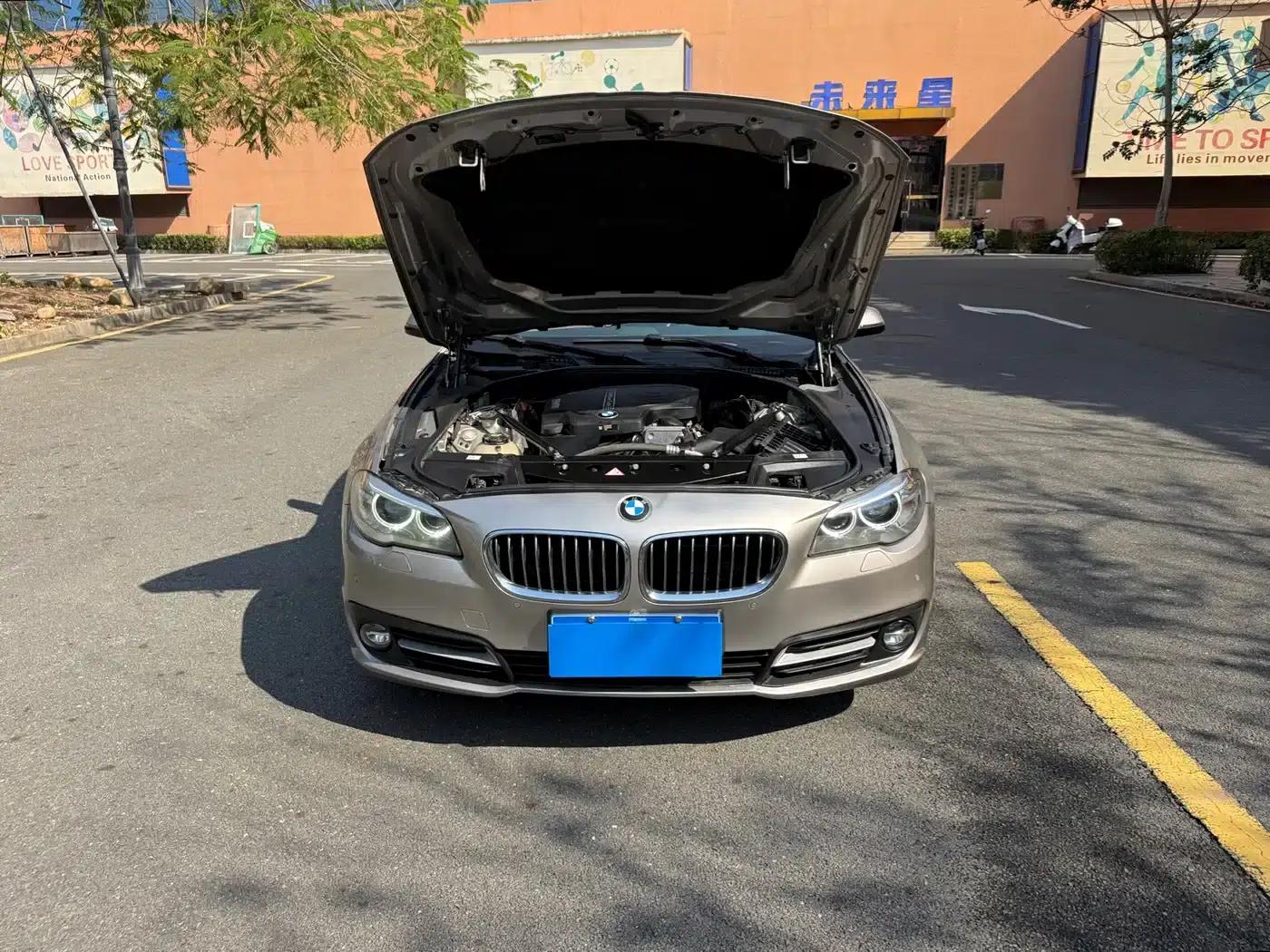 2014 BMW 5 Series 520Li Elegant Edition — миниатюра 16