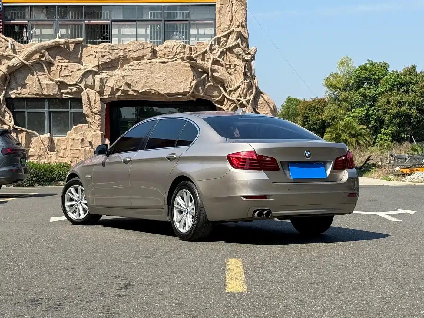 2014 BMW 5 Series 520Li Elegant Edition — миниатюра 3