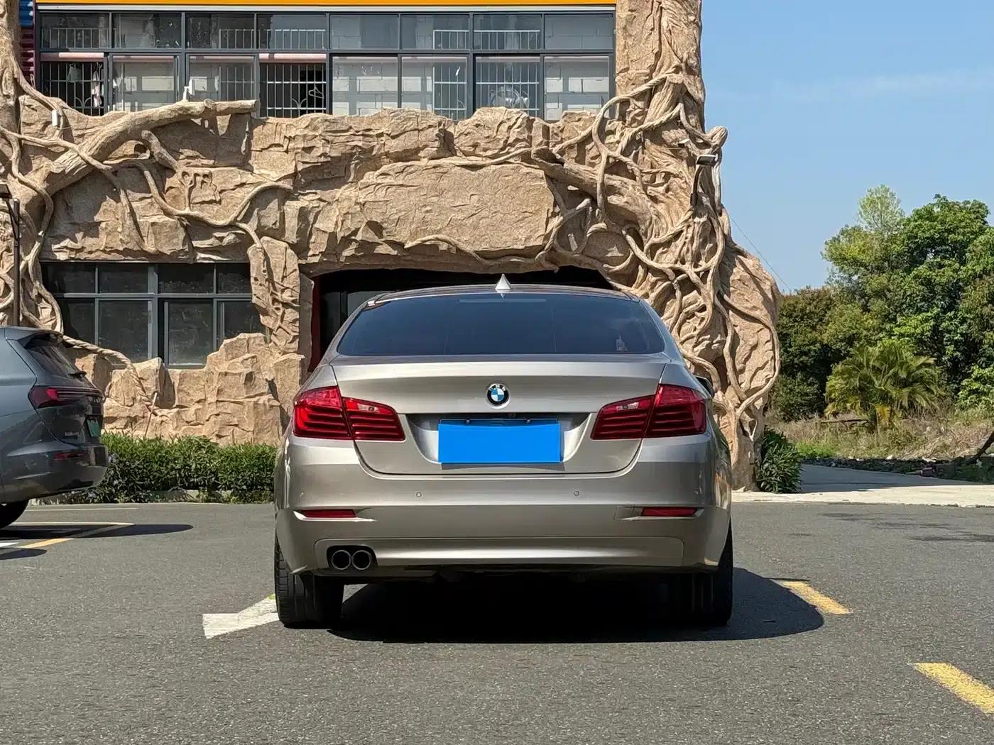 2014 BMW 5 Series 520Li Elegant Edition — миниатюра 4