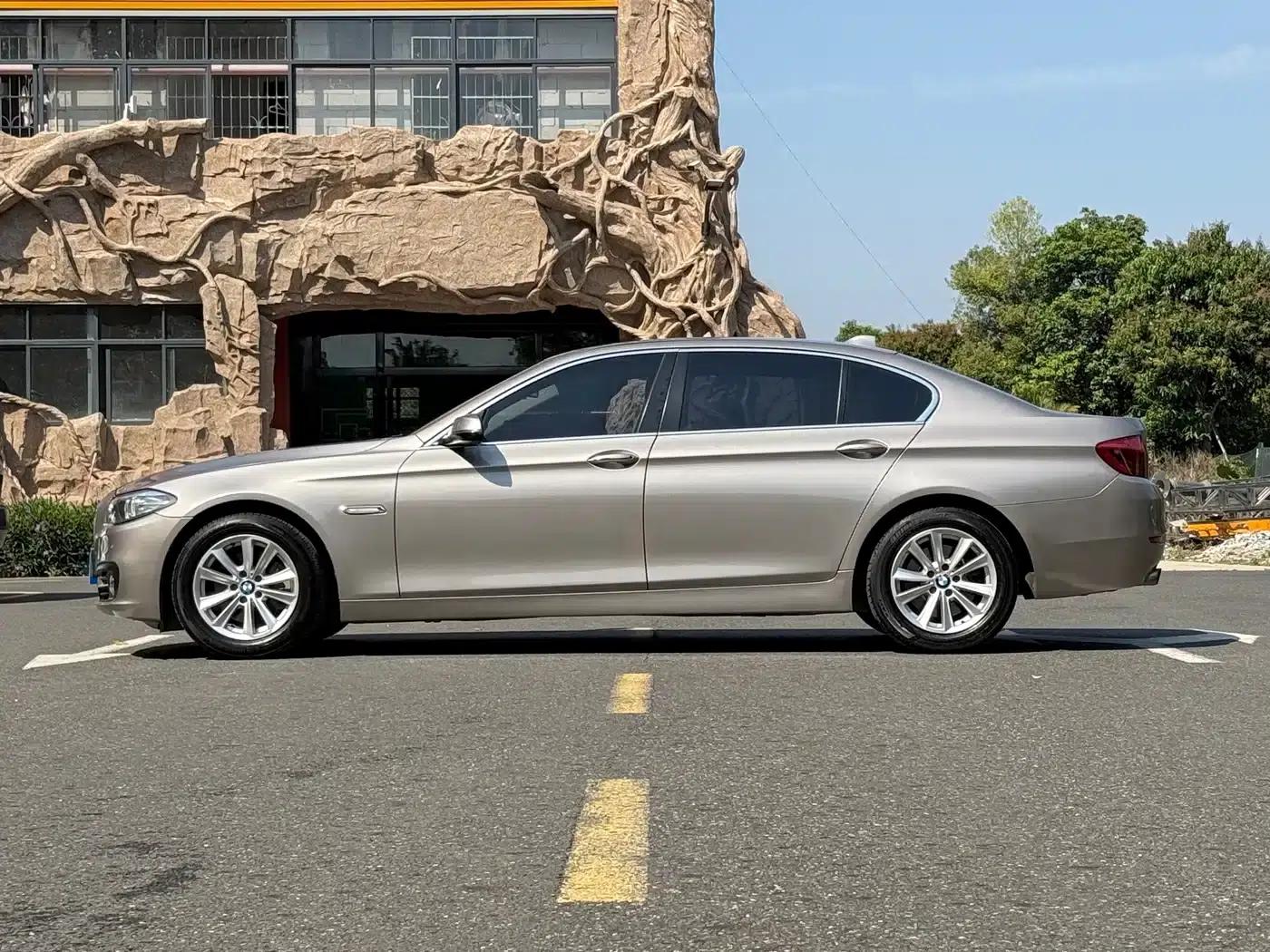 2014 BMW 5 Series 520Li Elegant Edition — миниатюра 5