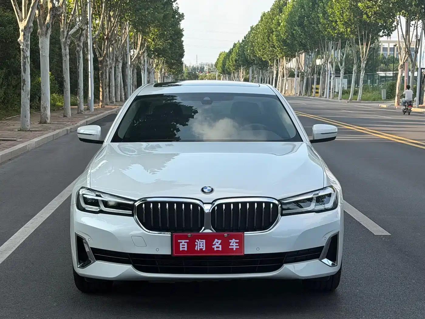 BMW 5 Series 2021 530Li Leading Luxury Package — миниатюра 1