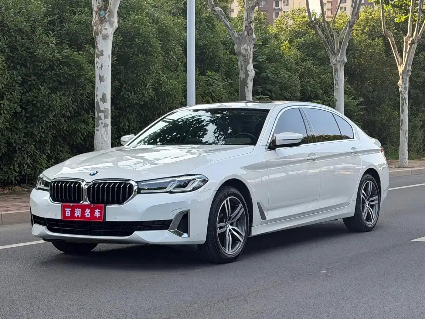 BMW 5 Series 2021 530Li Leading Luxury Package — миниатюра 3