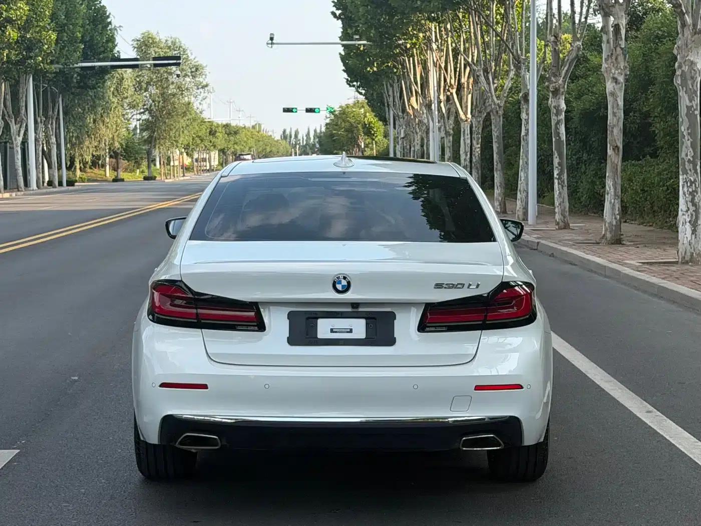 BMW 5 Series 2021 530Li Leading Luxury Package — миниатюра 4