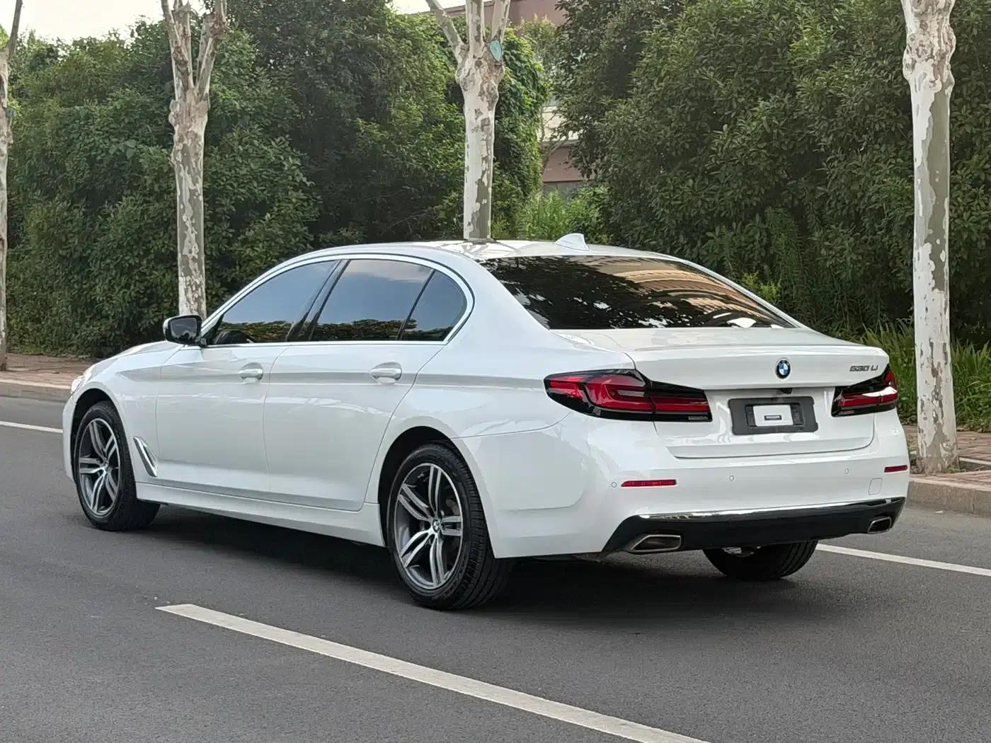BMW 5 Series 2021 530Li Leading Luxury Package — миниатюра 5