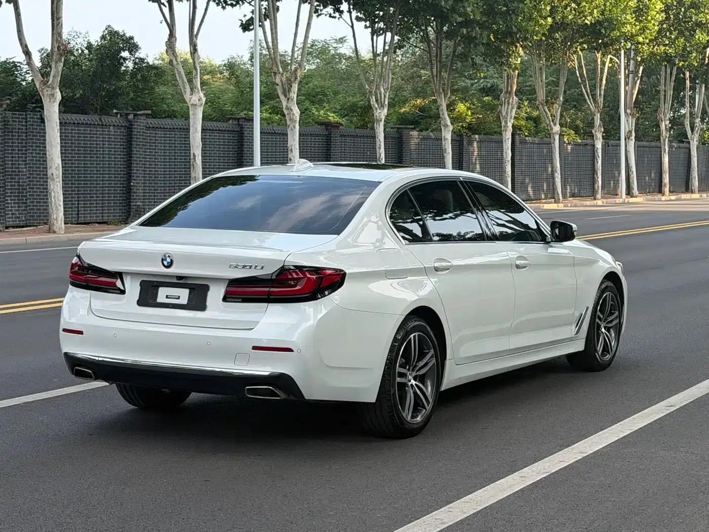 BMW 5 Series 2021 530Li Leading Luxury Package — миниатюра 6