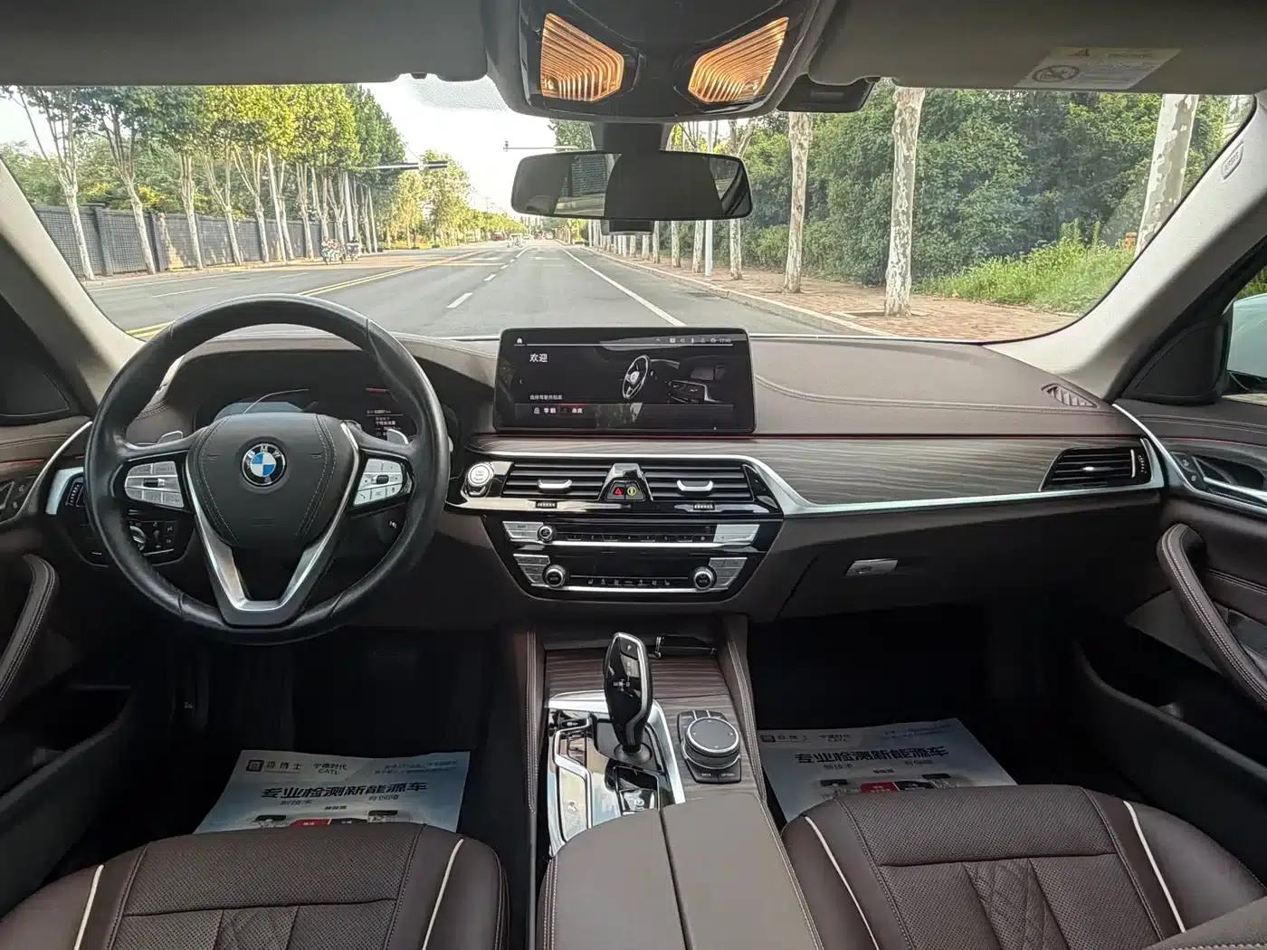 BMW 5 Series 2021 530Li Leading Luxury Package — миниатюра 9