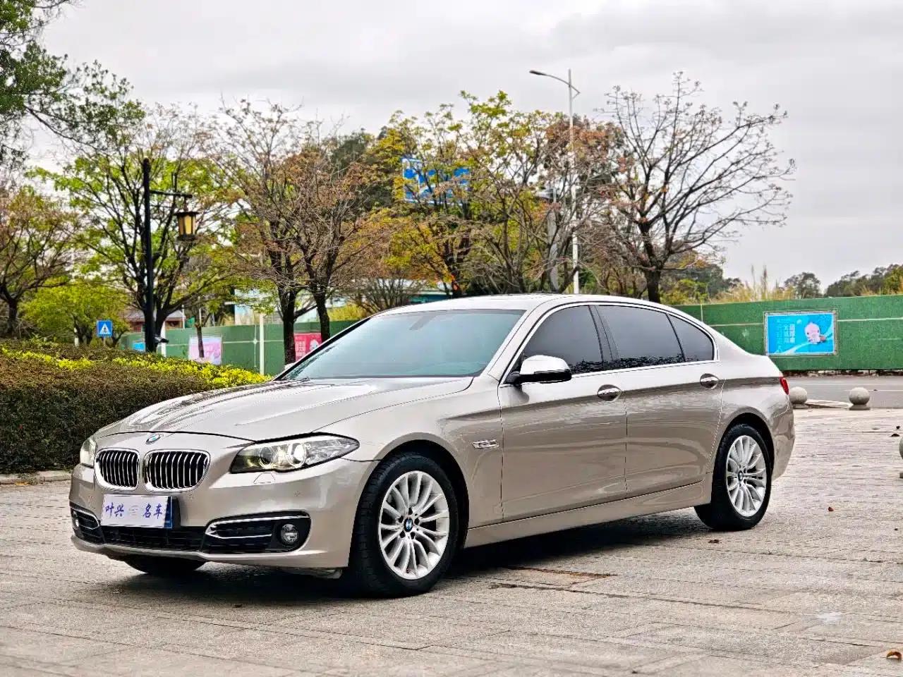 2017 BMW 5 Series 525Li Luxury Design Package — миниатюра 1