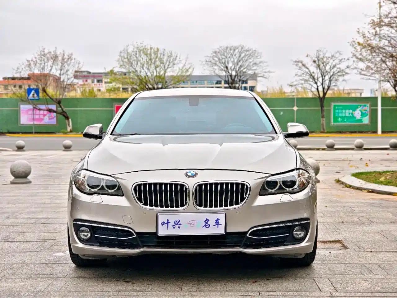 2017 BMW 5 Series 525Li Luxury Design Package — миниатюра 2