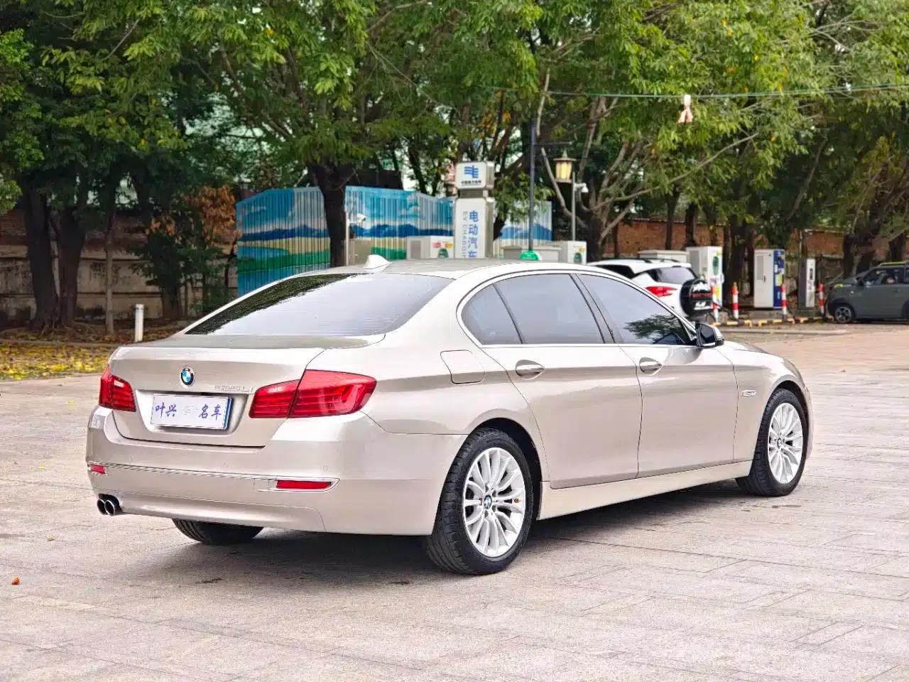 2017 BMW 5 Series 525Li Luxury Design Package — миниатюра 17