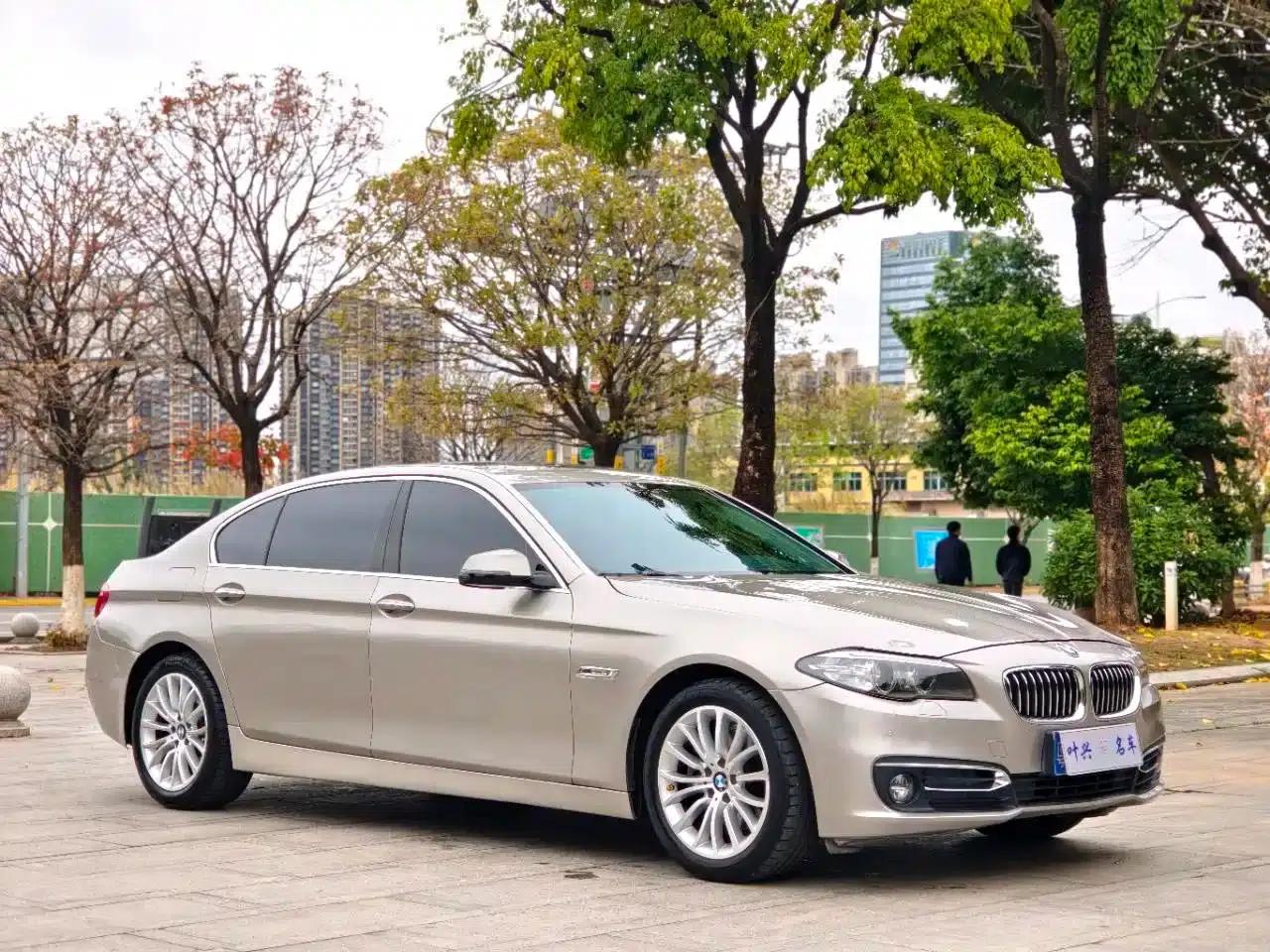 2017 BMW 5 Series 525Li Luxury Design Package — миниатюра 3
