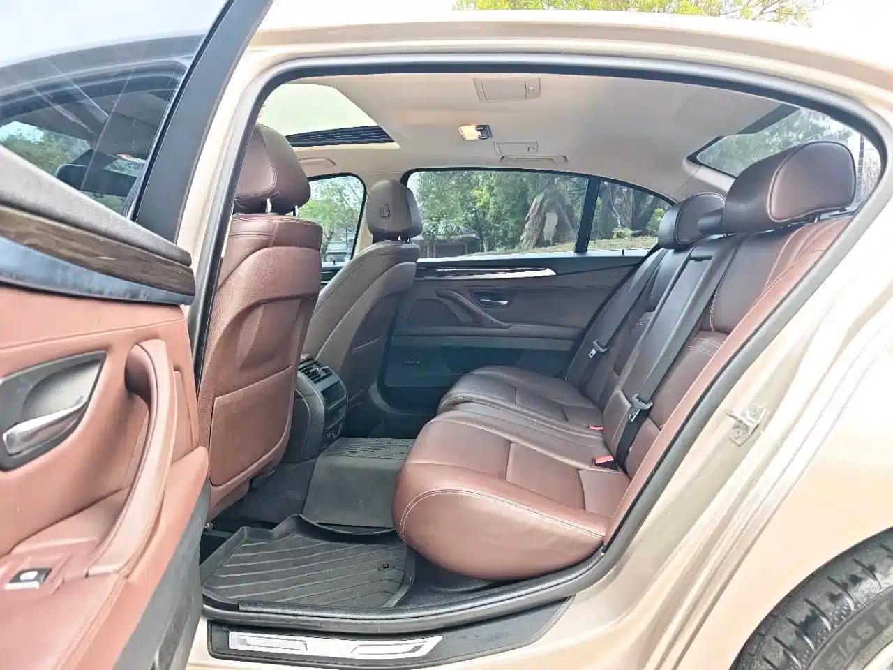 2017 BMW 5 Series 525Li Luxury Design Package — миниатюра 8