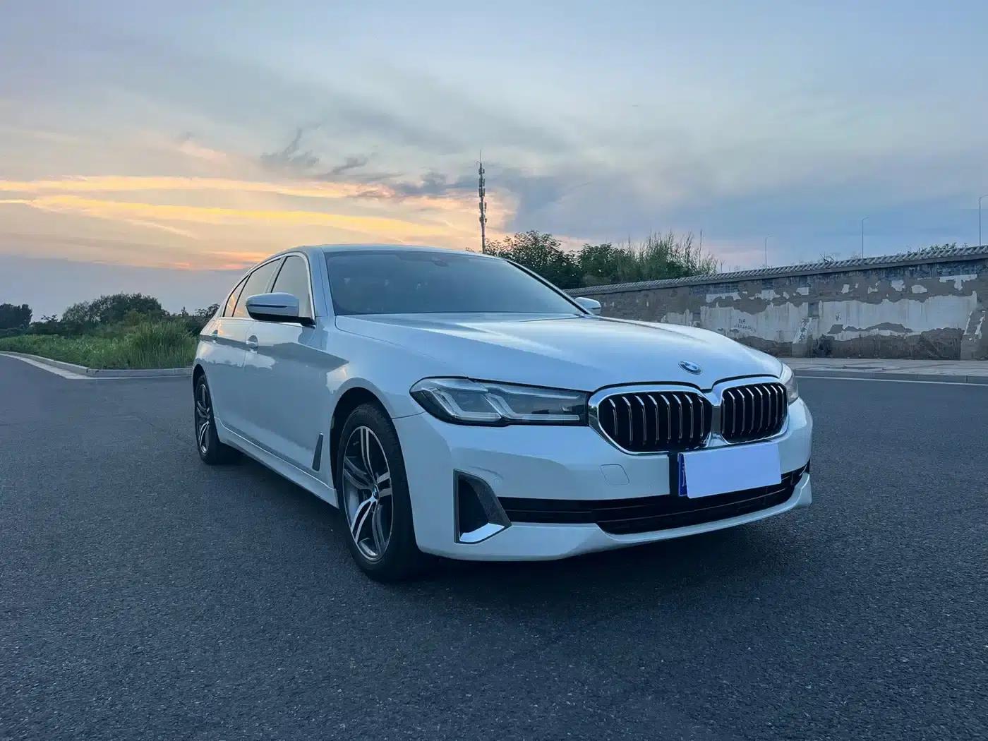 BMW 5 Series 2021 530Li Leading Luxury Package — миниатюра 3